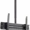 OMB New Lift Ceiling Mount - 6055