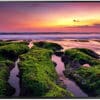 Samsung LH43QBBEBGCXEN 43" Crystal UHD 4K Smart Signage