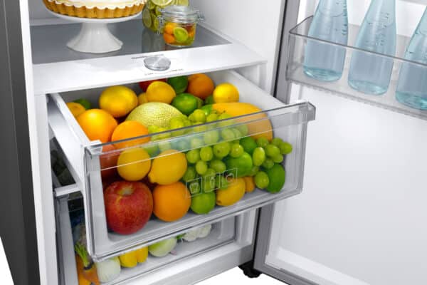 Samsung RR39C7BC5S9/EF Free Standing Twin Series AI 387L Single Door Fridge - Image 4
