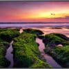 Samsung LH75QBBEBGCXEN 75" QBB UHD 4K Professional Smart Signage